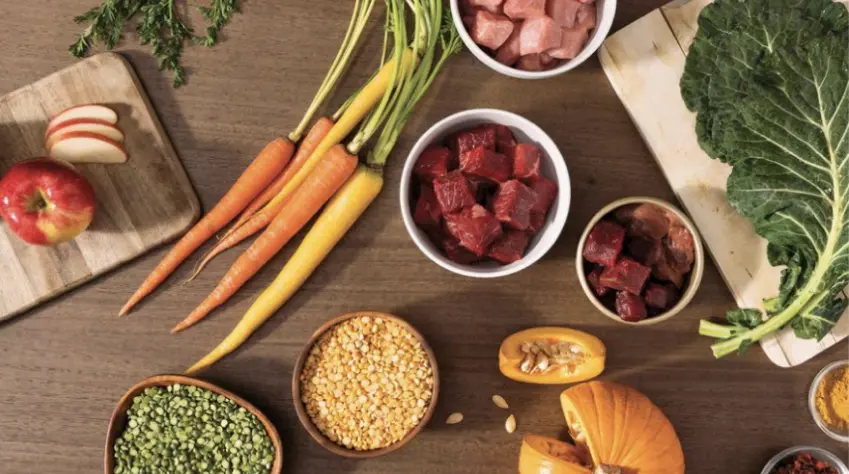 Whole food ingredients used in balanced pet
                        nutrition recipes